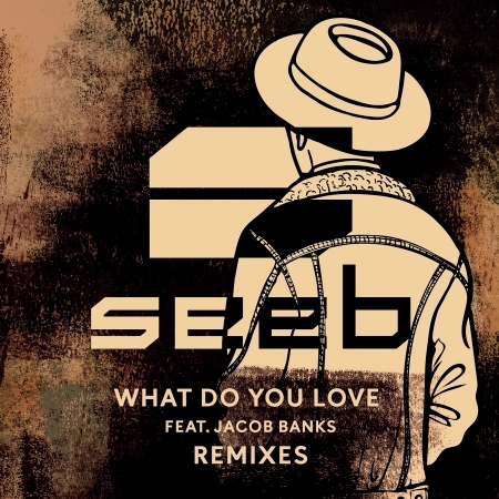 What Do You Love (Broiler Remix)