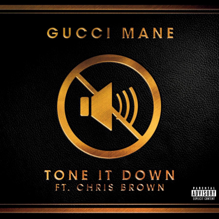 Tone it Down (feat. Chris Brown)