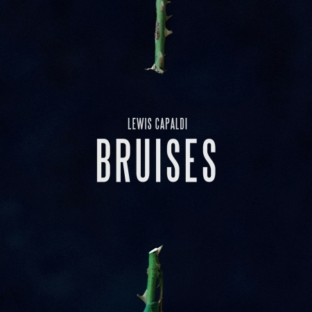 Bruises 專輯封面