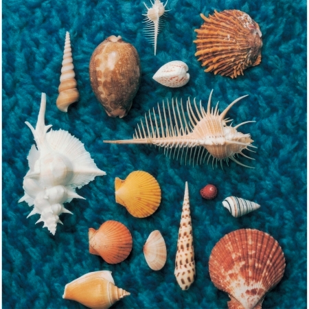 Cycle Hit 1991-1997 Spitz Complete Single Collection