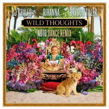 Wild Thoughts (feat. Rihanna & Bryson Tiller) [NOTD Dance Remix] 專輯封面