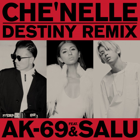 Destiny (feat. AK-69 & Salu) [Remix]
