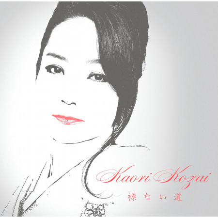 Shirube Nai Michi