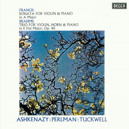 Brahms: Horn Trio In E Flat, Op.40 - 3. Adagio mesto