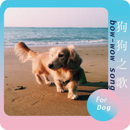 bow-wow song 狗狗之歌