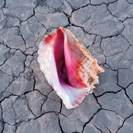 Wonderful Wonderful (Deluxe)