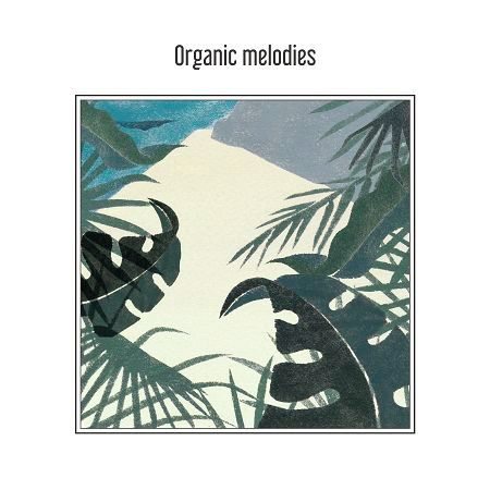 Organic melodies (有機的旋律們) 專輯封面