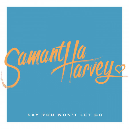 Say You Won't Let Go