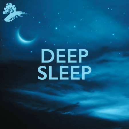 Deep Sleep