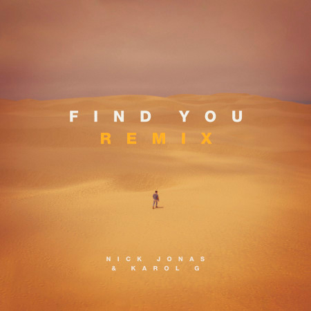 Find You (Remix) 專輯封面