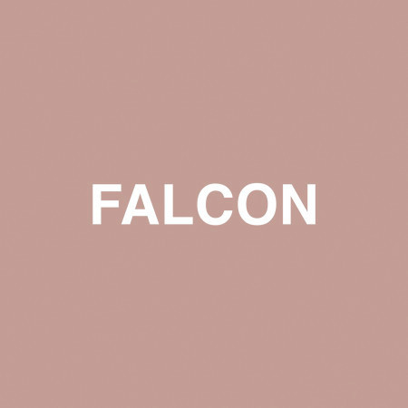 Falcon 專輯封面