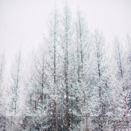 快樂耶誕節 / Sunshine‧韓國新世紀鋼琴家   (Happy Christmas)