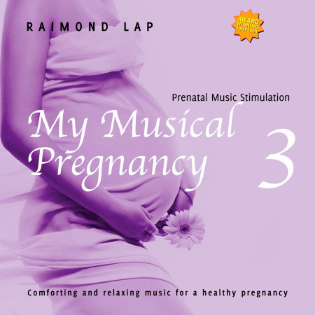 My Musical Pregnancy 3