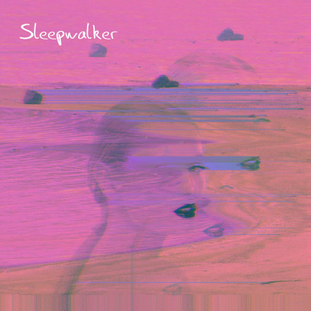 夢遊家．vol.1：Sleepwalker．vol.1