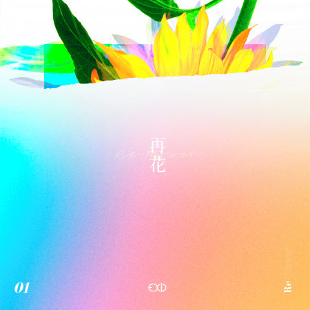 [Re:flower] PROJECT #1 專輯封面