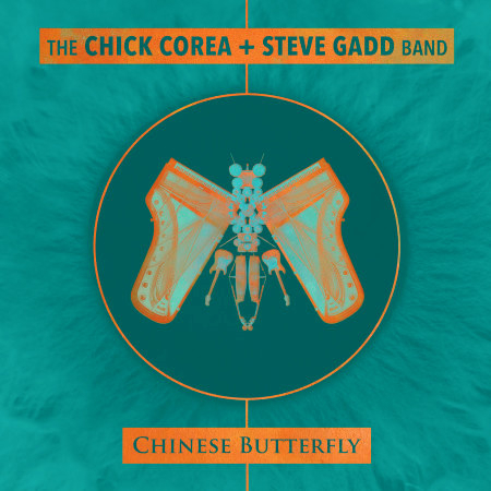 Chinese Butterfly