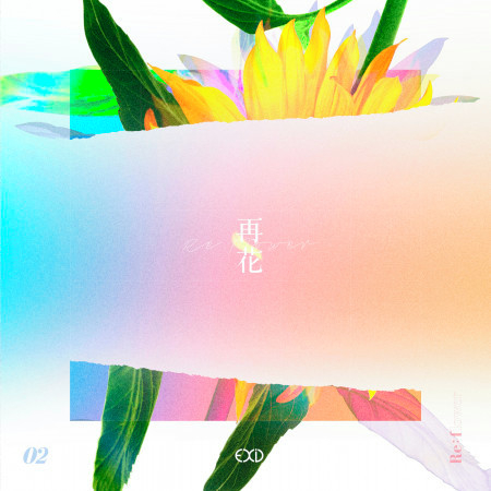 [Re:flower] PROJECT #2 專輯封面