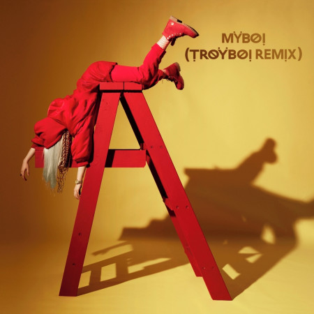 MyBoi (TroyBoi Remix) 專輯封面