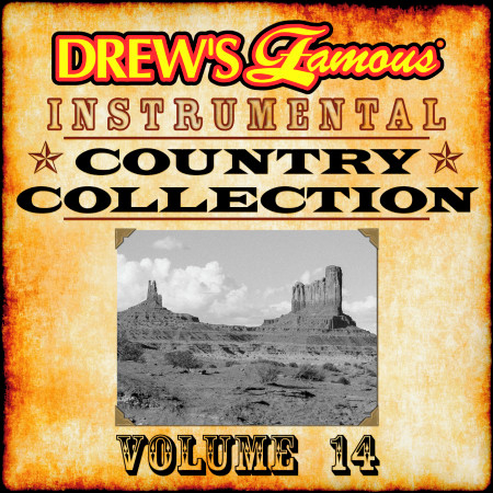 Drew's Famous Instrumental Country Collection Vol. 14
