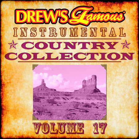 Drew's Famous Instrumental Country Collection (Vol. 17)