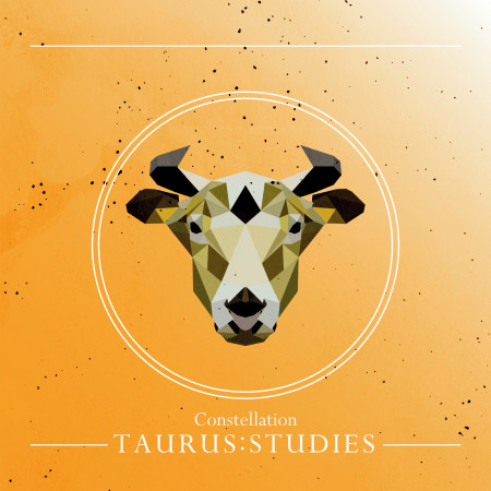 星座系列 -【金牛：學業】Vol.3：Constellation -【TAURUS：STUDIES】Vol.3
