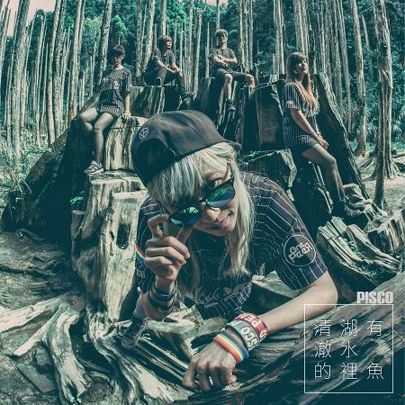 清澈的湖水裡有魚