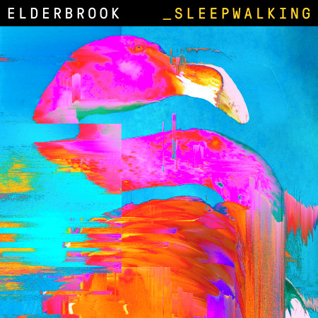 Sleepwalking