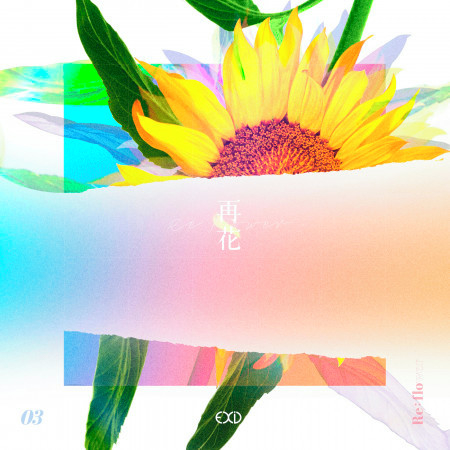 [Re:flower] PROJECT #3 專輯封面