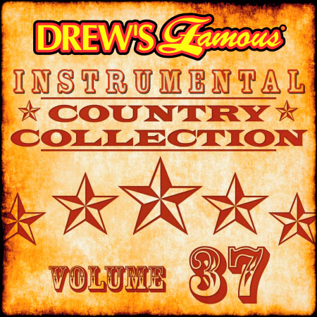 Drew's Famous Instrumental Country Collection (Vol. 37)