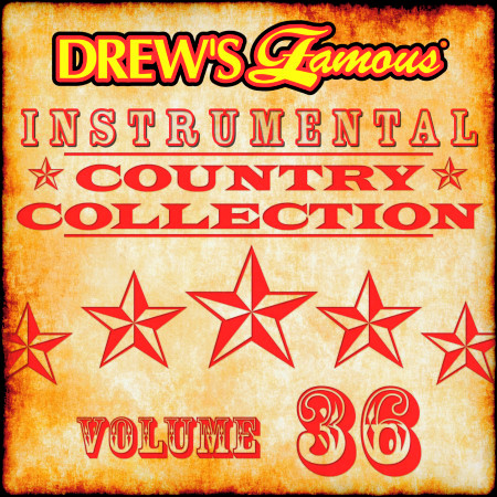 Drew's Famous Instrumental Country Collection (Vol. 36)