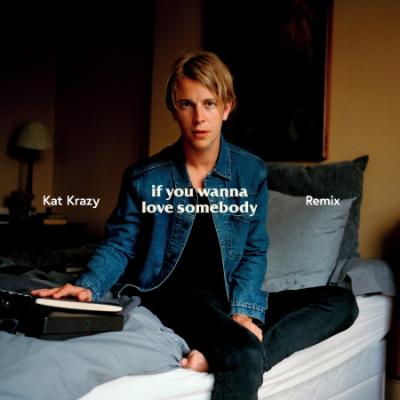 If You Wanna Love Somebody (Kat Krazy Remix)