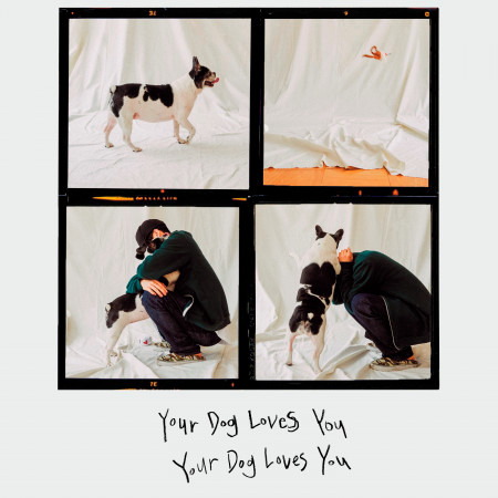 Your Dog Loves You 專輯封面