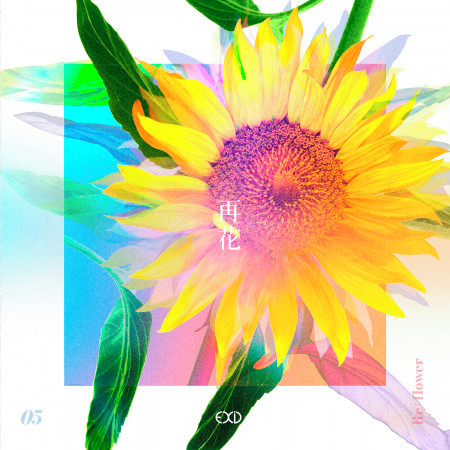 [Re:flower] PROJECT #5 專輯封面