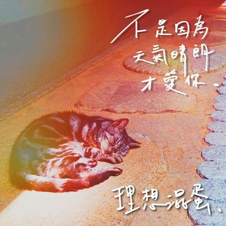 不是因為天氣晴朗才愛你