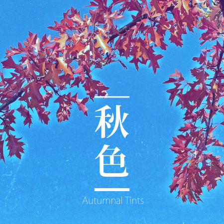 秋色．Autumnal Tints：Chill