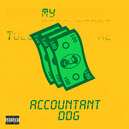 Accountant