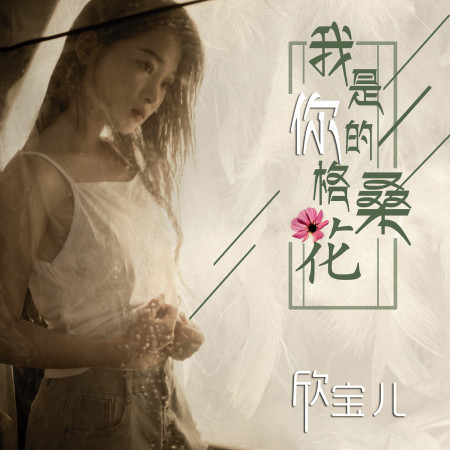 我是你的格桑花