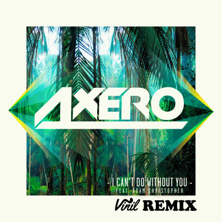 I Can't Do Without You (feat. Adam Christopher) (Vinil Remix)