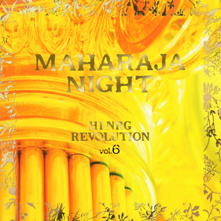 MAHARAJA NIGHT HI-NRG REVOLUTION VOL.6