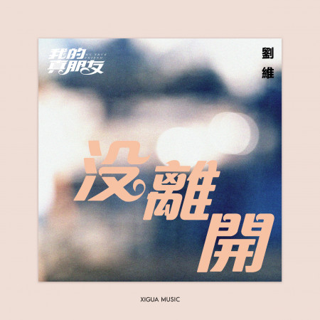 沒離開-電視劇《我的真朋友》插曲