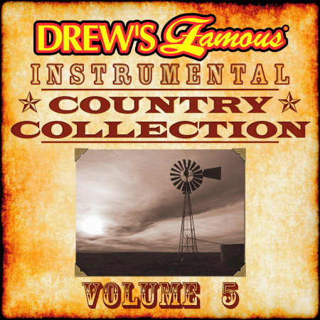 Drew's Famous Instrumental Country Collection, Vol. 5