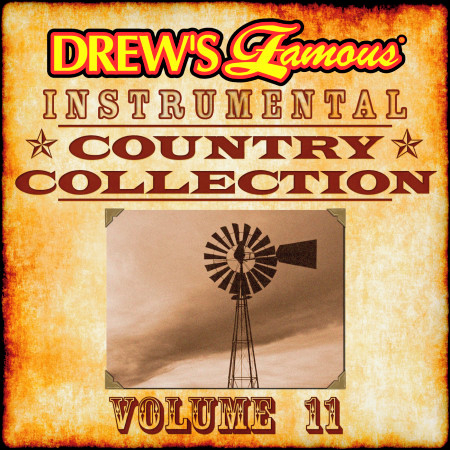 Drew's Famous Instrumental Country Collection, Vol. 11