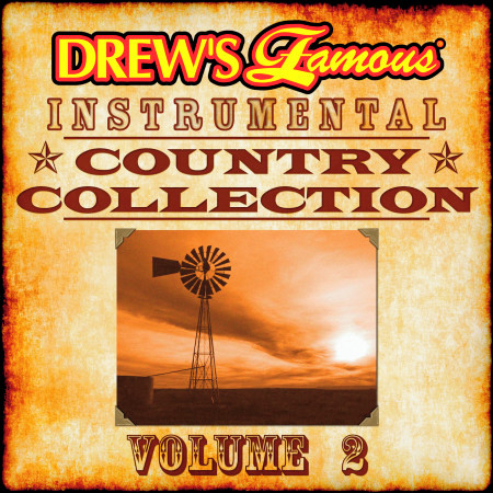 Drew's Famous Instrumental Country Collection, Vol. 2