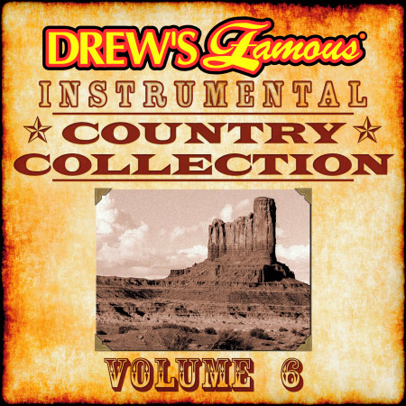 Drew's Famous Instrumental Country Collection, Vol. 6