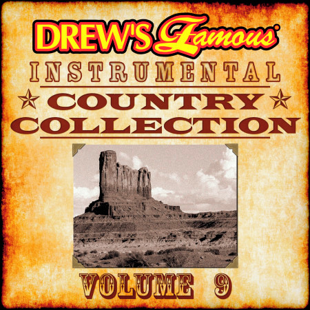 Drew's Famous Instrumental Country Collection, Vol. 9