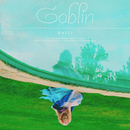 Goblin 專輯封面