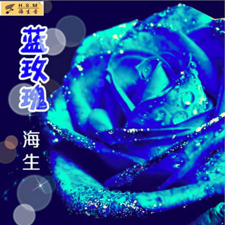 藍玫瑰 專輯封面