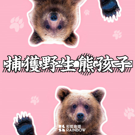 捕獲野生熊孩子 - 現場版