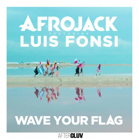 Wave Your Flag 專輯封面
