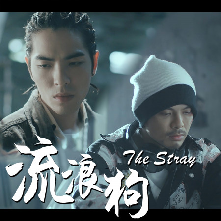 流浪狗 The Stray (Single) 專輯封面